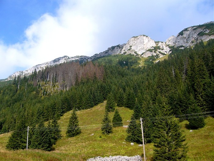 W drodze na Giewont...