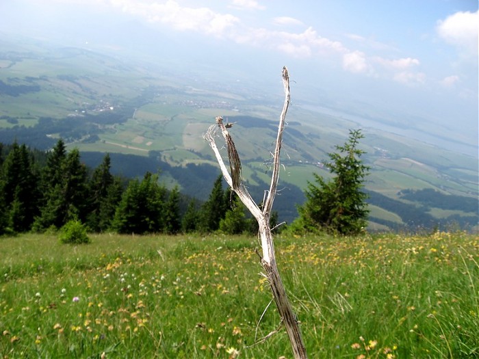 Tatry Zachodnie...