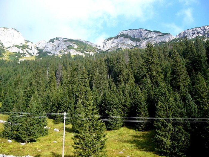 W drodze na Giewont... 2