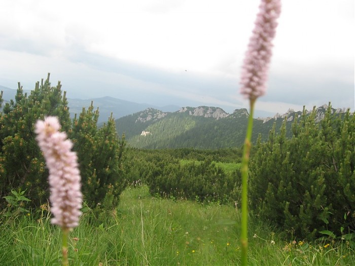 Tatry Słowackie ...